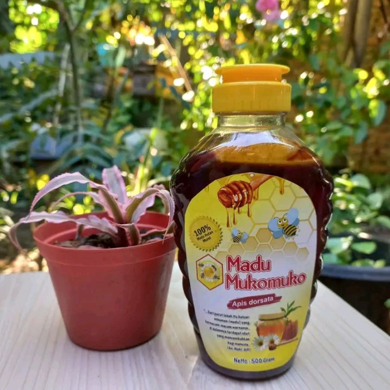 

madu asli, madu mukomuko