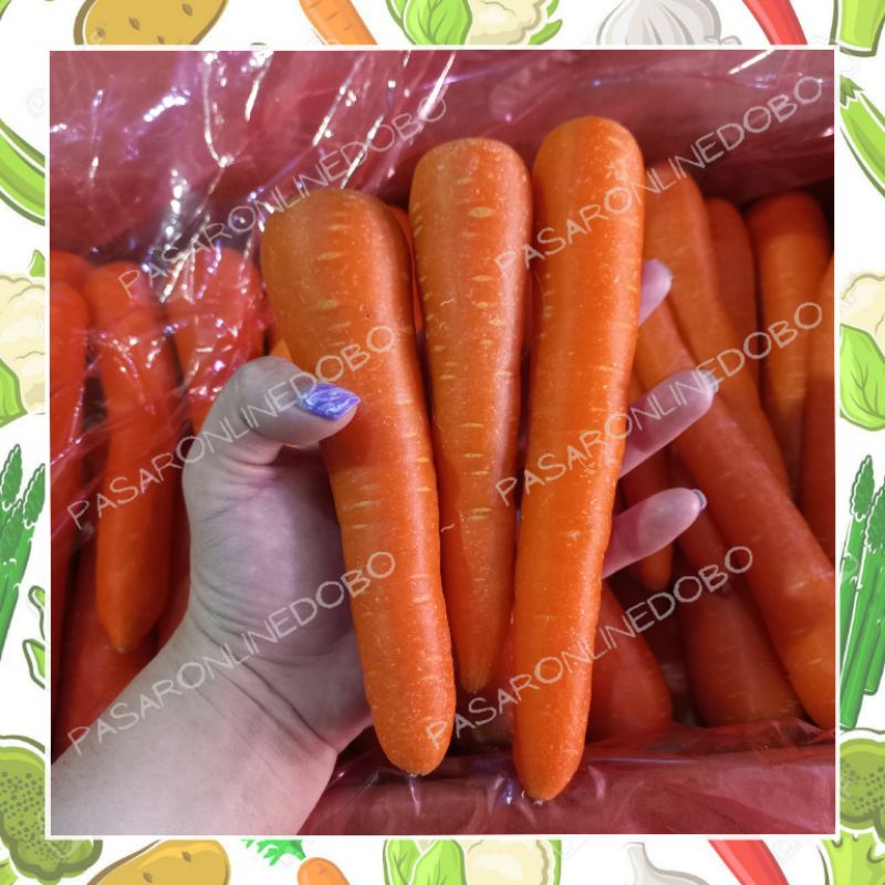 

Wortel Brastagi / Carrot Brastagi