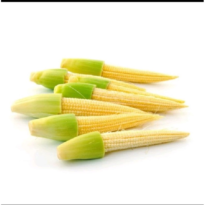 

jagung muda 100gr
