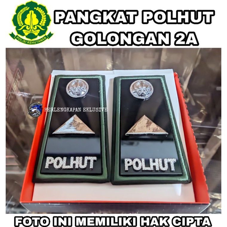 PANGKAT POLHUT GOLONGAN 2A -  PANGKAT GUNUNG 1 - PANGKAT POLHUT - PANGKAT POLHUT 2A