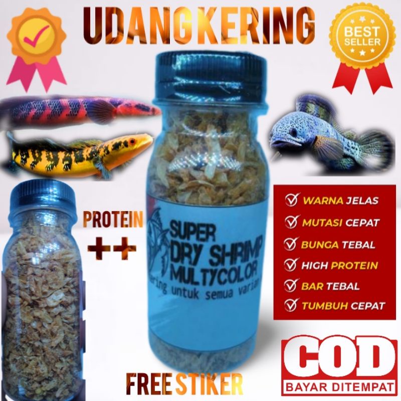 udang kering/udang kering/super dry shrimp/udang kering pakan ikan/udang kering pakan channa/udang k