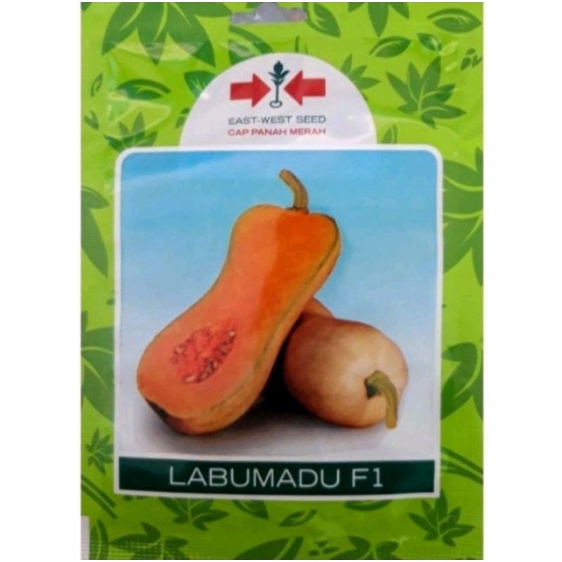 benih LABUMA hibryda F1 LABU MADU cap panah merah small pack 10 butir