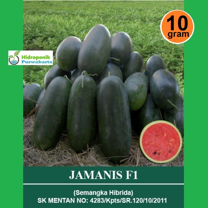 BENIH SEMANGKA INUL JAMANIS F1 10 GRAM DAGING MERAH CAP MUTIARA BUMI