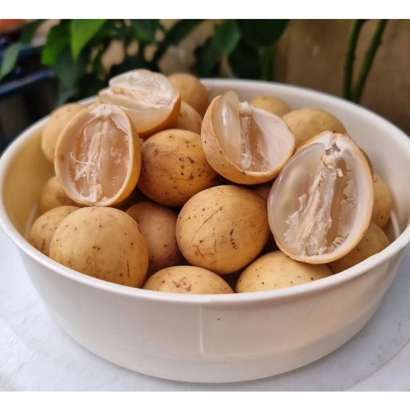 Duku Pontianak / Langsat pontianak manis 1 Kg