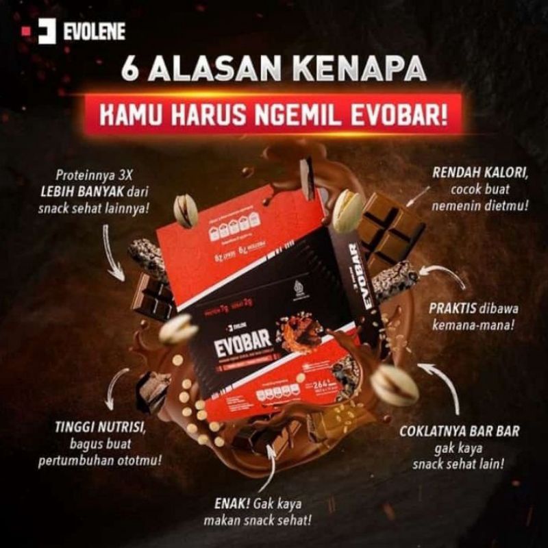 Evolene Evobar 1 box isi 12 pcs Rasa Coklat Protein Bar Snack Sehat