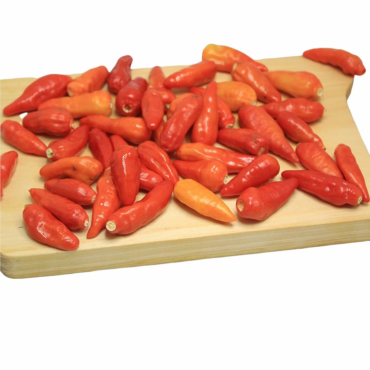 

Cabai Cabe Rawit Merah PETIK Plucked Red Bird's Eye Chili 500 gr