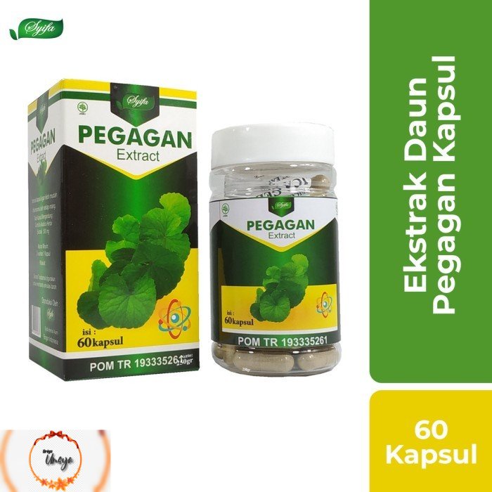 Kapsul Pegagan Syifa BPOM Isi 60 - Ekstrak Daun Pegagan ORIGINAL