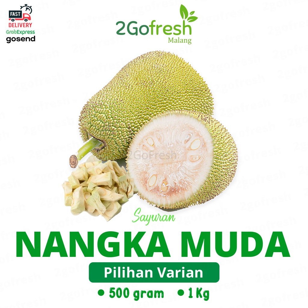 

Sayur Nangka Muda/ Tewel Fresh - Sayuran