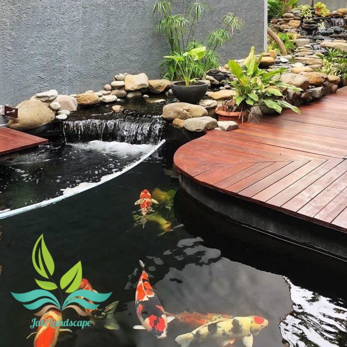 kolam ikan minimalis/ kolam ikan koi