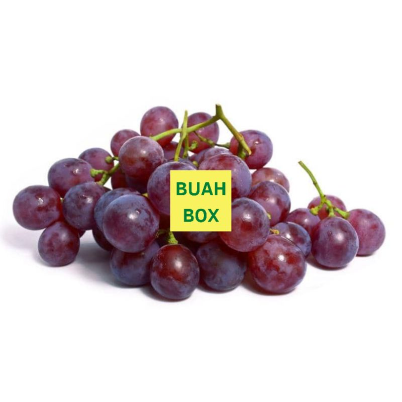 

Buah Anggur Merah Besar Red Globe Seedless Tanpa Biji Manis Garing 1 Kg