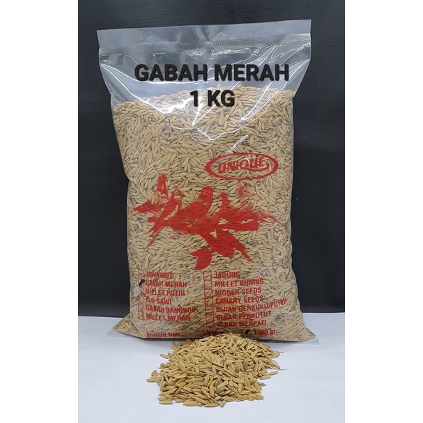 GABAH MERAH 1 KG UNTUK LOVEBIRD AYAM PERKUTUT TEKUKUR