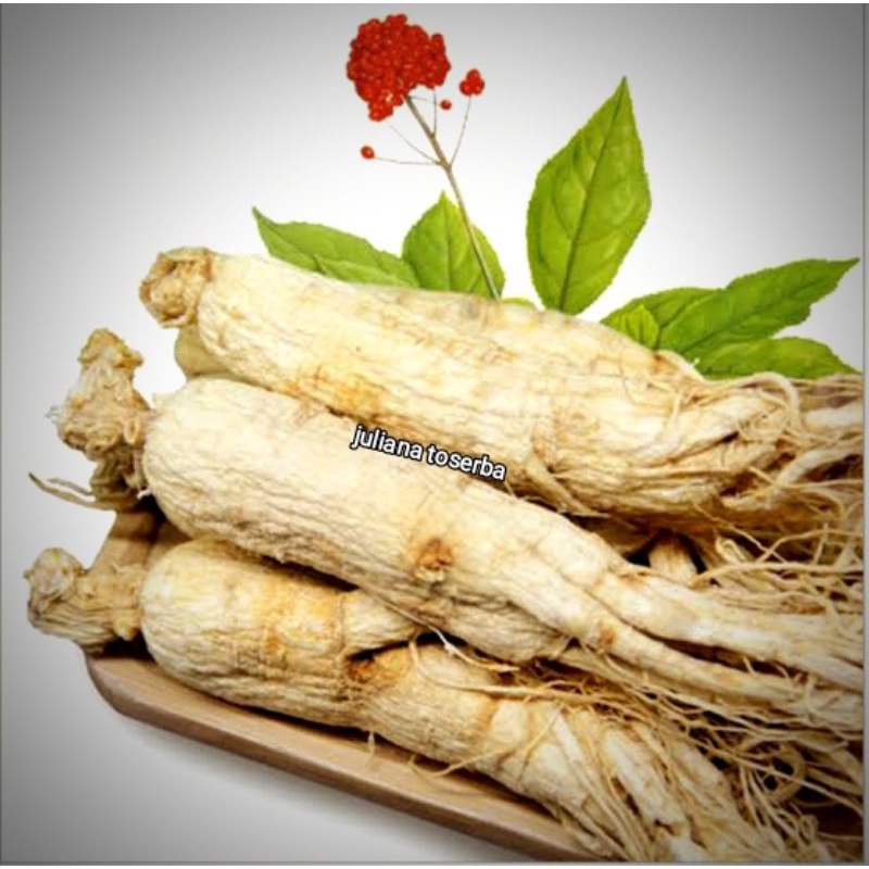 

Ginseng Chang Bai Ren Shen Kering High Grade 干長白人參 50gram