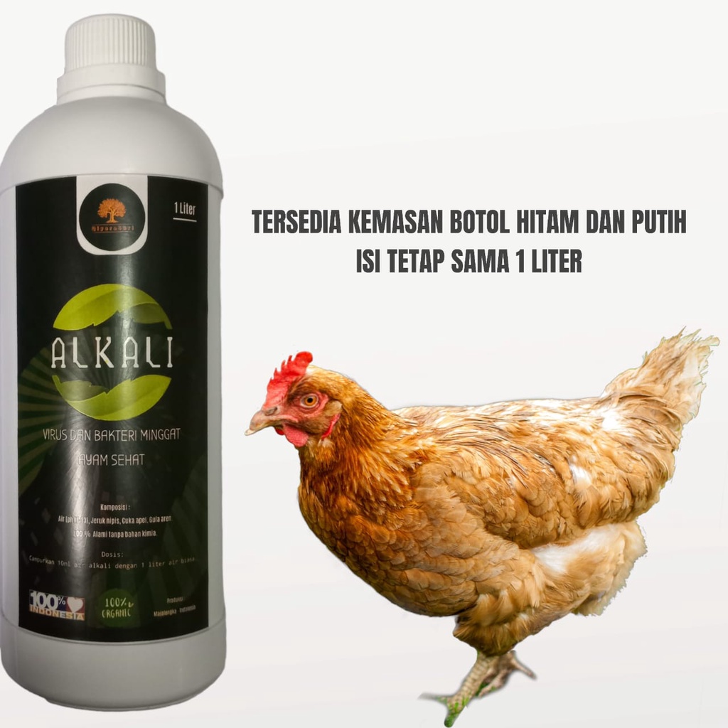 Air Alkali Untuk Ayam Cairan Probiotik Untuk Ayam dan Unggas Qiyara Sari Alkali 1 Liter