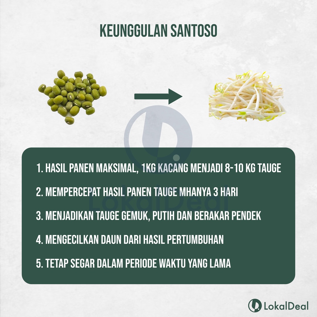 Nutrisi Obat SANTOSO 500ml Hormone Bean Sprout Untuk Pertumbuhan Tauge / Toge / Kecambah