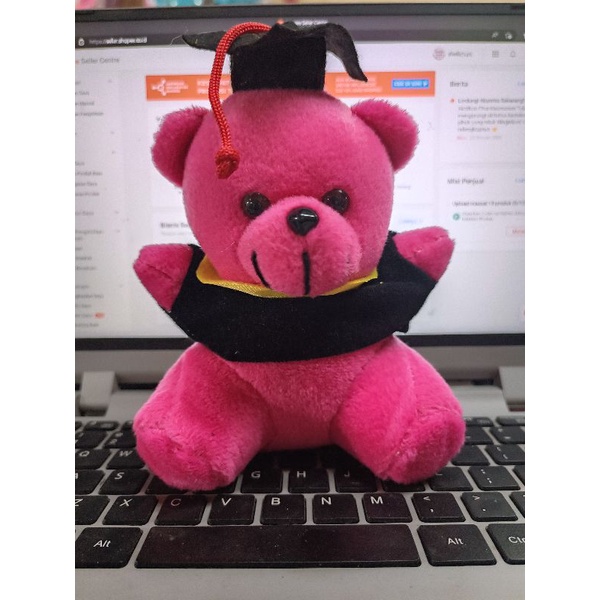 BEAR TOGA / BEAR BUKET TINGGI 15CM