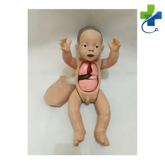 bayi resusitasi dada terbuka / Phantom manikin / manekin