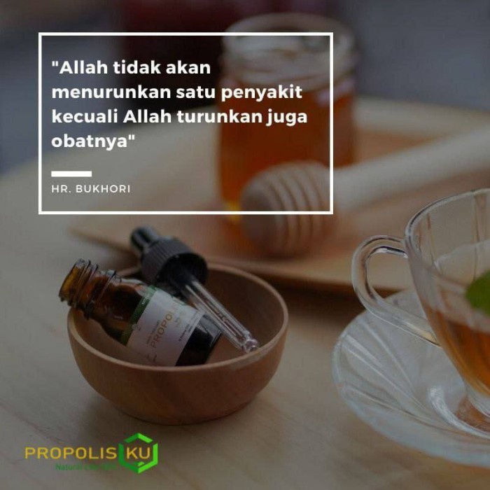 

Propolisku - obat Sapu Jagad