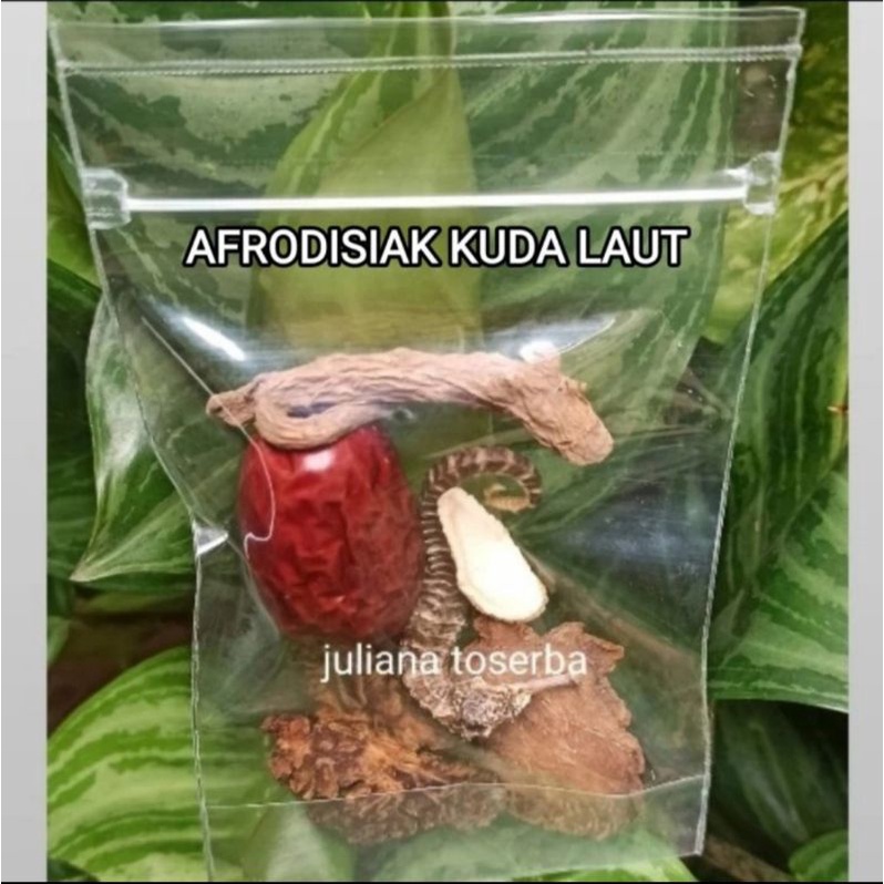 

Herbal Hema Laut Kering AAA Penambah Kesehatan Tempur Super Grade Herbal