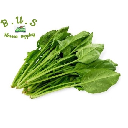 

Bayam Jepang/Horenzo 1Kg B.U.S