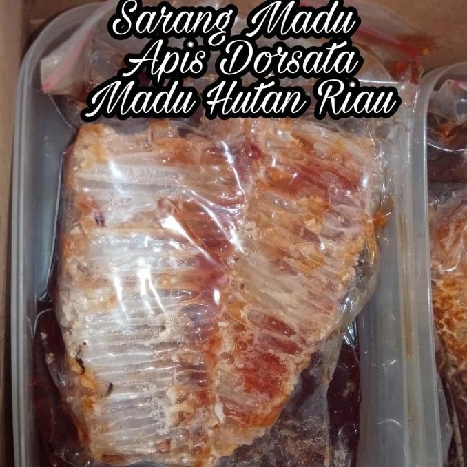

BEST SALES MADU SARANG APIS DORSATA HUTAN RIAU ISI BERSIH 500G SALE
