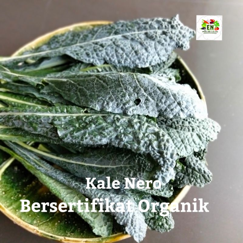 

1kg Sayur Kale Nero 100% Sertifikat Organik Vegetable Murah Sehat Healthy Life Grosir Supermarket