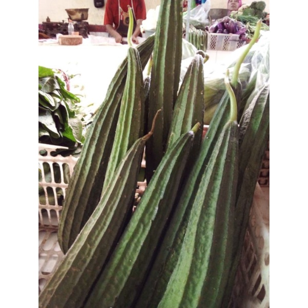 

kirim instan. gambas atau oyong.