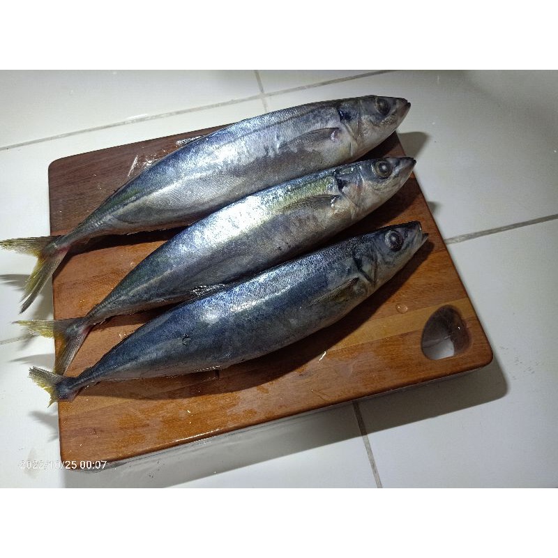 

Kembung Layang