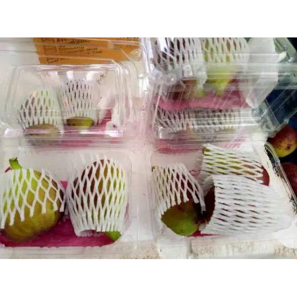 

TRXL1x1W--Buah tin Ara yordania fresh Organik 150gram