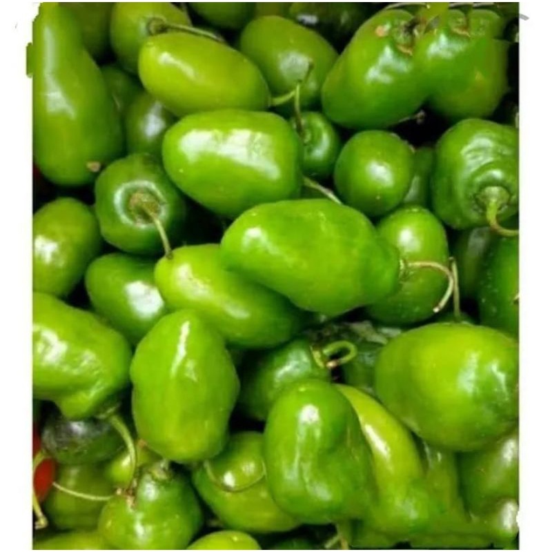 

Cabe Gendot 250 gram SAYUR GEDEBAGE PRAKTIS ONLINE BANDUNG