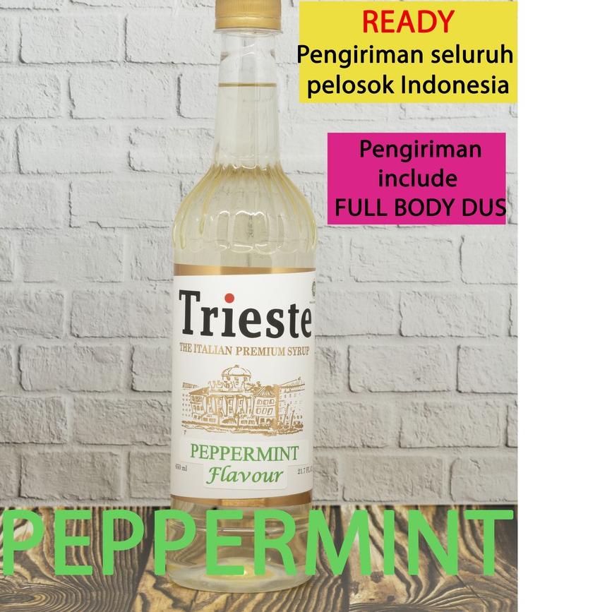 

9.9 ✨SALE✨ TRIESTE SYRUP PEPPERMINT serbuuu !