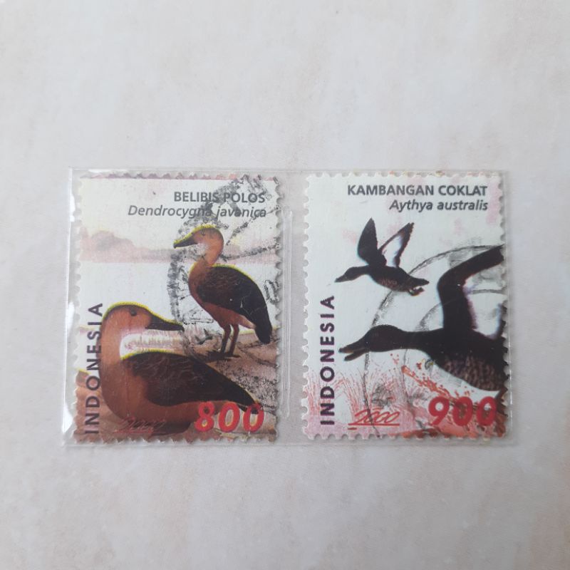 

Perangko Indonesia Bebek Seri 3 Tahun 2000 set lengkap - 2pcs