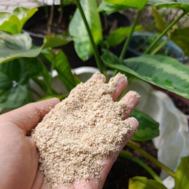 Dedak padi pakan ternak berkualitas