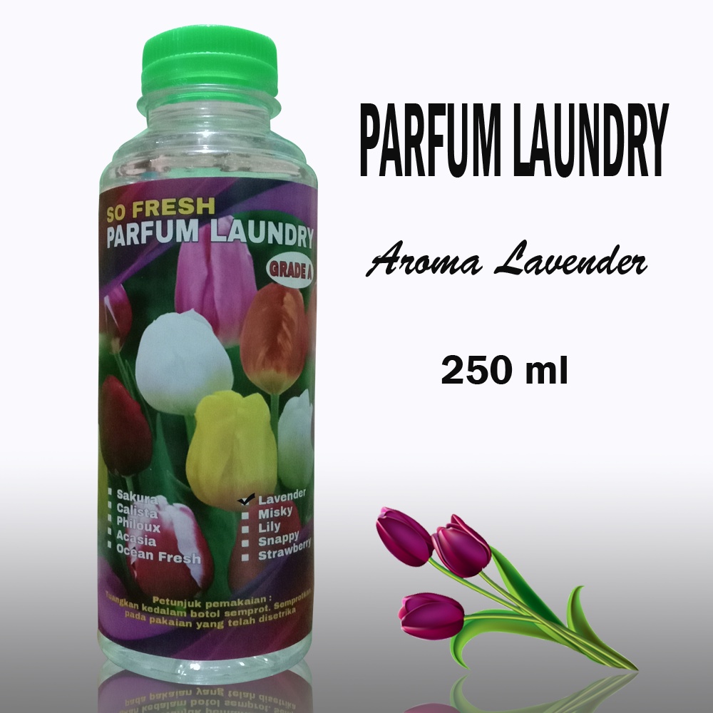 PARFUM LAUNDRY AROMA LAVENDER 250 ML