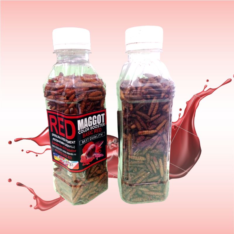 Makanan Ikan chana FISH LOVER MAGGOT BOTOL Red Blue Yellow 60gr