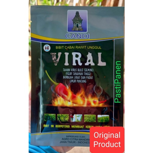 Benih Cabe rawit VIRAL 10gr, ..cabe rawit unggul VIRAL Original packing CANDI SEED