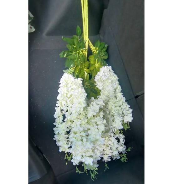 Murah Terkeren Wisteria jumbo putih