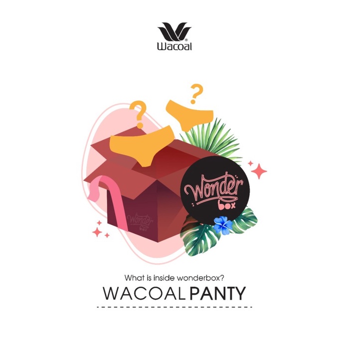 Cd Wanita Wonderbox Wacoal Panty Isi 3 Pcs