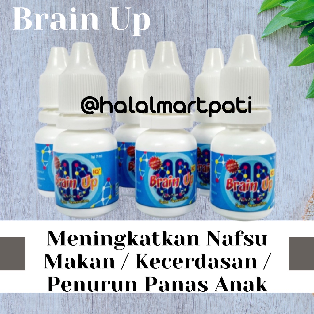Brain Up Probiotik Ekstrak Pegagan Madu Obat Suplemen Vitamin Nutrisi Speech Delay Penambah Peningkat Kecerdasan Konsentrasi Daya Ingat Otak Nafsu Makan Penurun Panas Demam Anak Pintar Cerdas