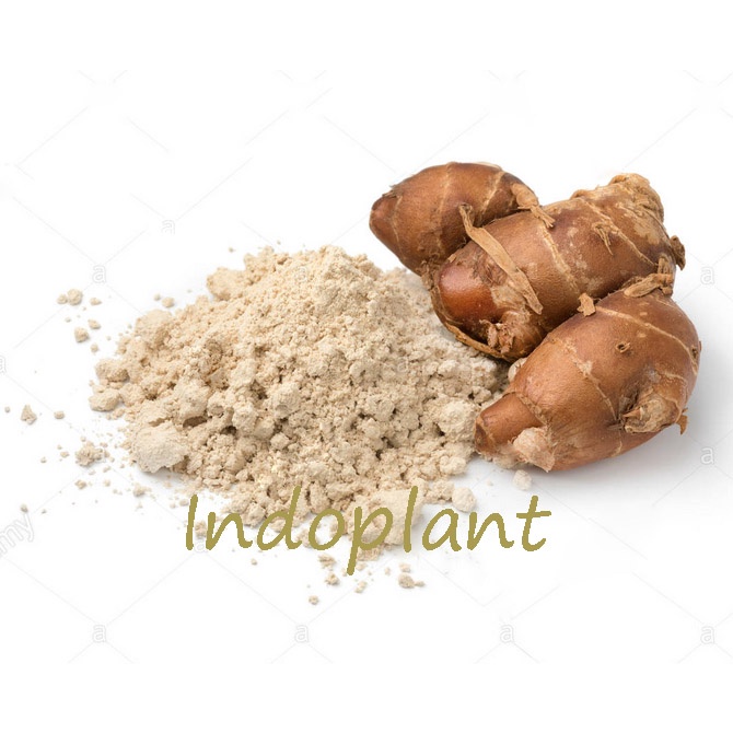 Bubuk Kencur 1 Kg Galangal Powder Simplisia Bubuk Kaempferia galanga 1000 gram