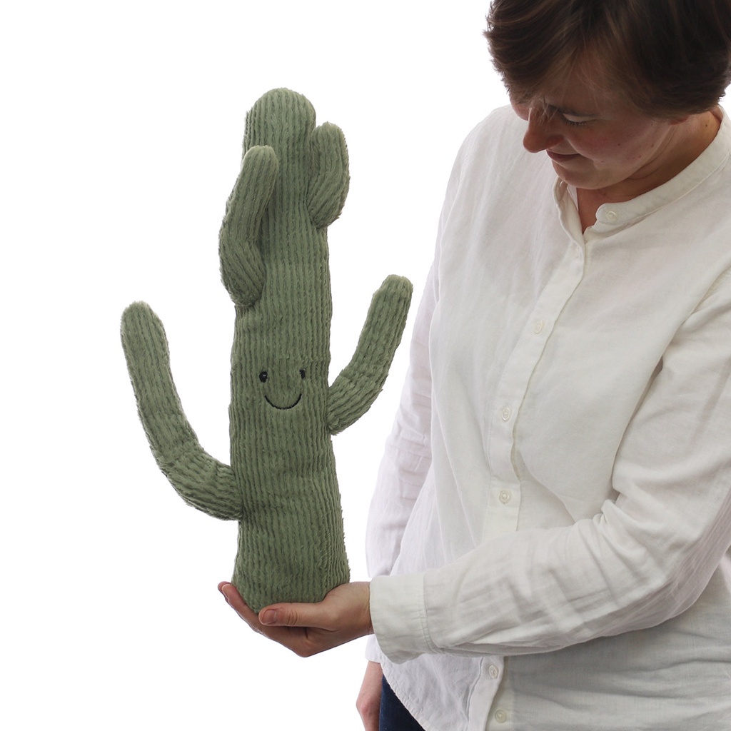 pabrik branded Amuseable desert cactus wild nature kaktus gurun pasir duri food tanaman taman plant 