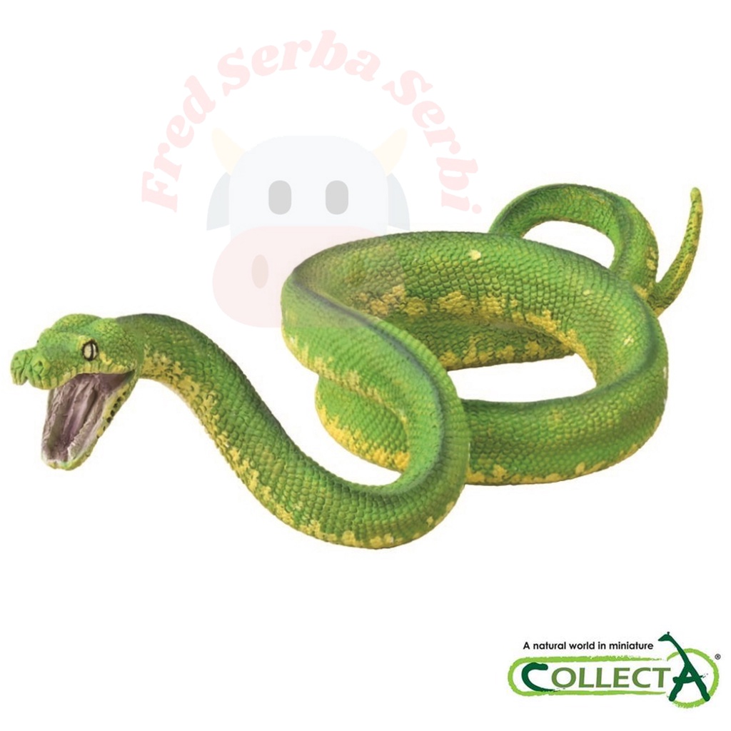 CollectA - Green Tree Python