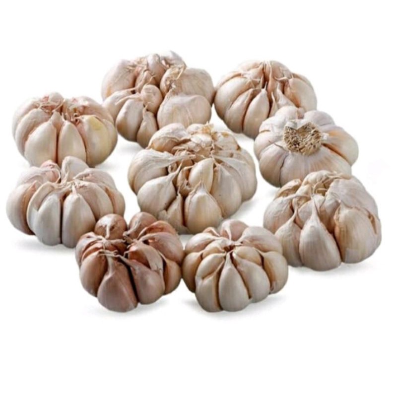 

bawang putih 250 gr