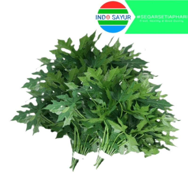 

Daun Pepaya Jepang 1ikat