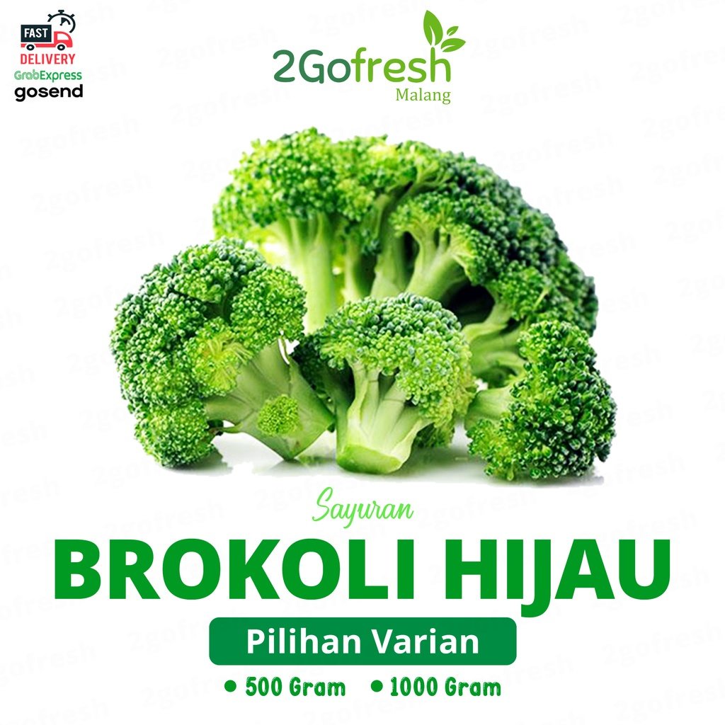 

Sayur Brokoli Hijau Broccoli Fresh - Sayuran