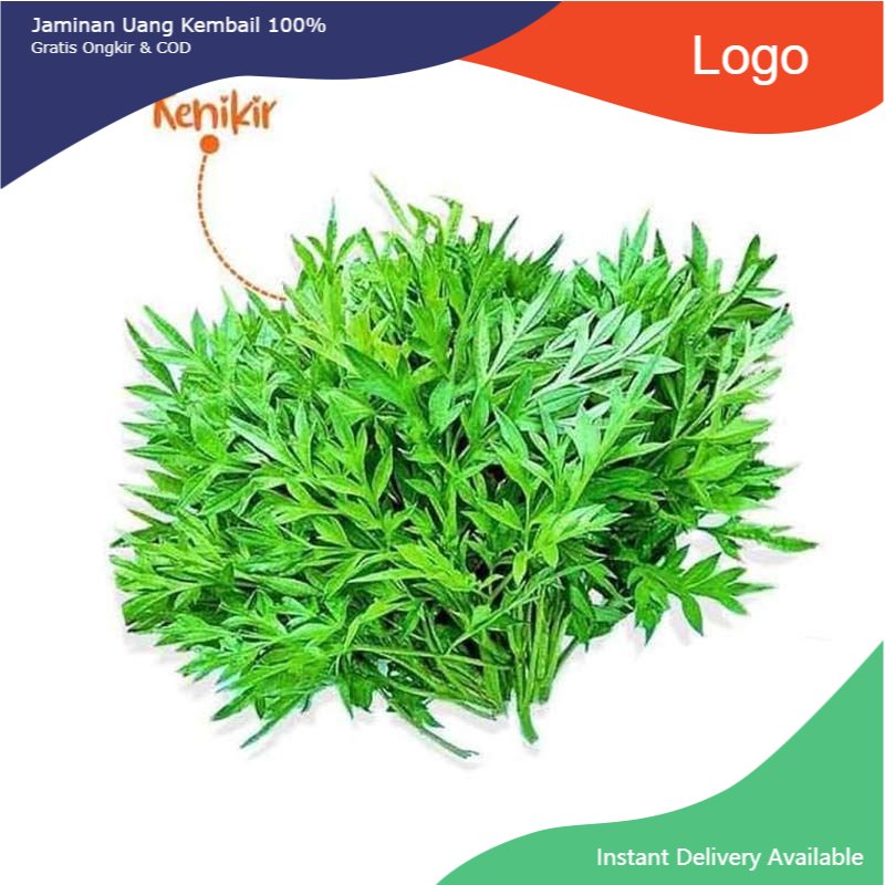 

Promo Daun kenikir segar 1kg organik/randa midang/ herbal lalapan sehat siap petik