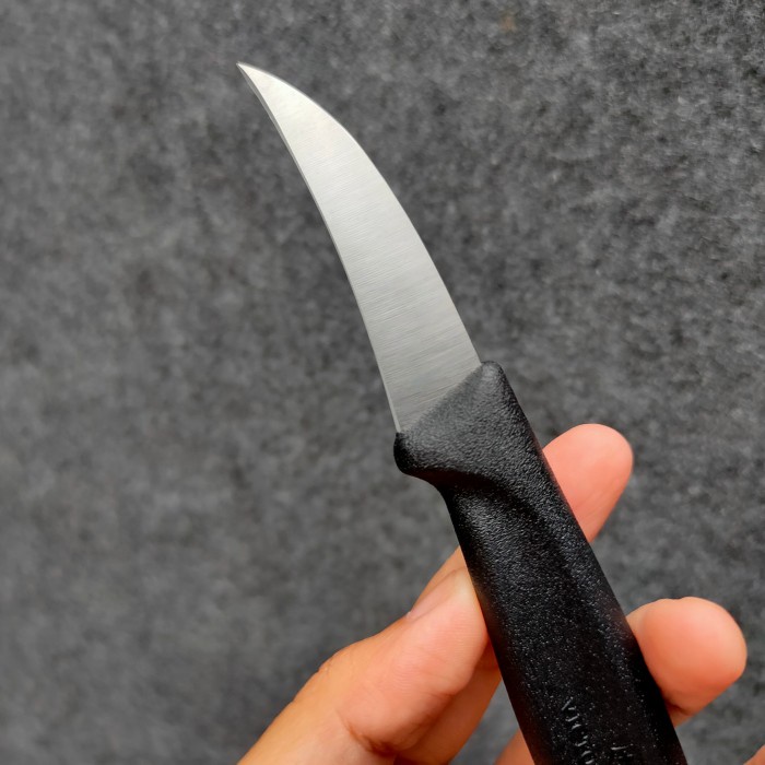 Pisau Sabit Pisau Stek Tanaman