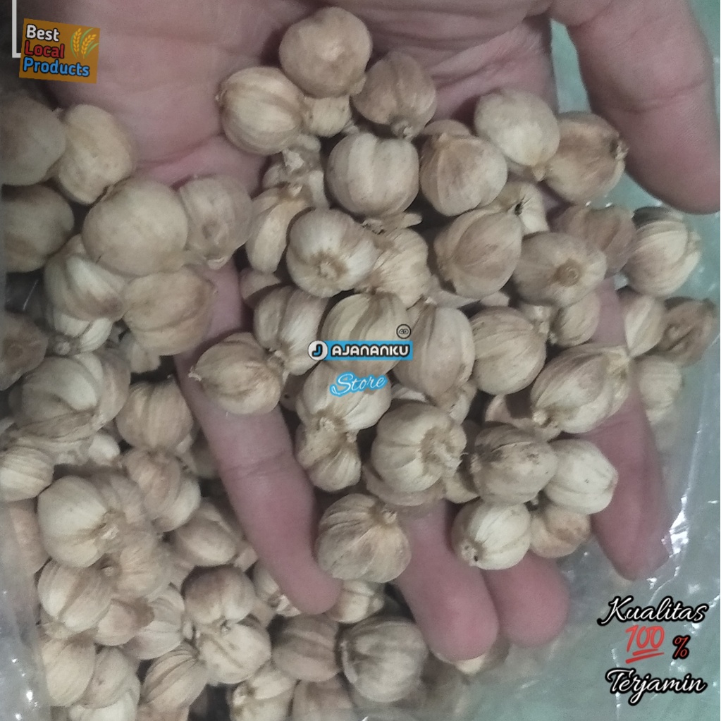 

Kapulaga Kering 1kg Kapol Putih Alami Hasil Sortir Cucian Air Bersih