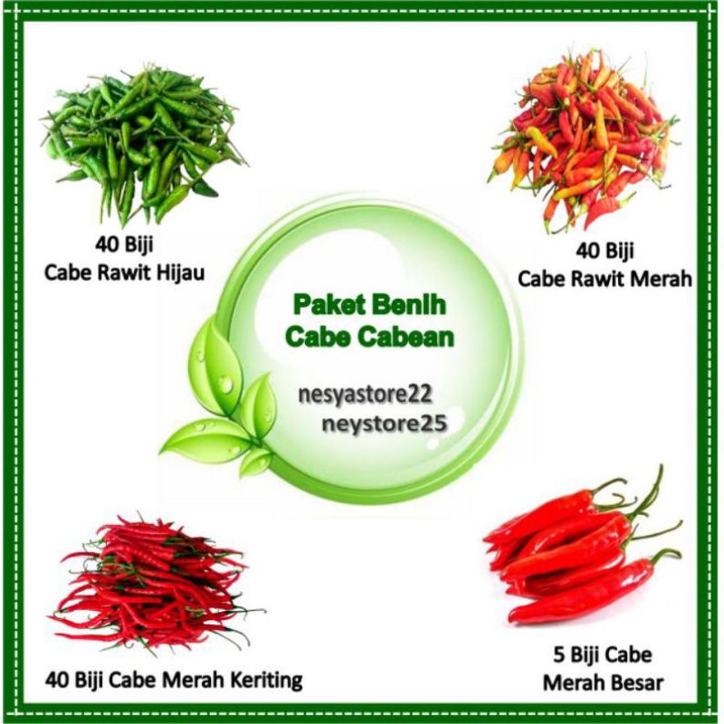 Paket Benih Bibit Cabai Cabe-Cabean Cabe Rawit Cabe Keriting Cabe Besar Cabe Rawit Hijau