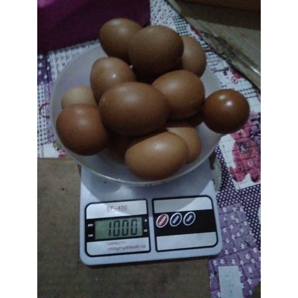 

Telur Dalam Negeri 1/2 kg