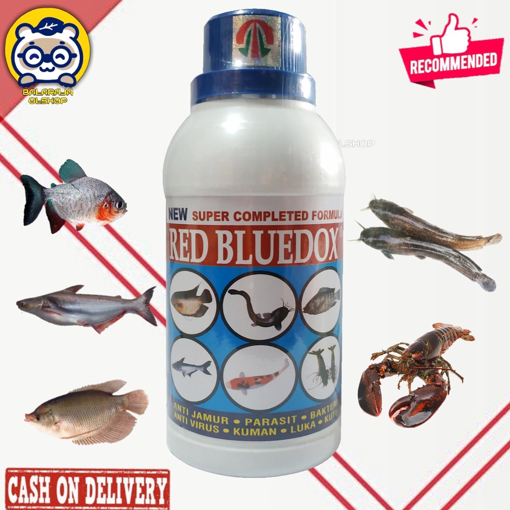 Red Bluedox 250 ml Obat Ikan Anti Jamur Parasit Bakteri Luka